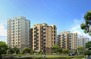 2019上海青浦新城紫櫻閣項目風波 內幕曝光與房地產行業反思